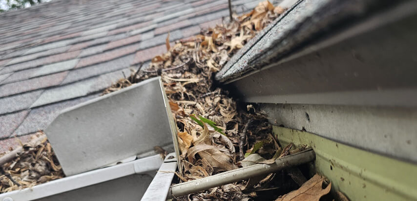 Clogged gutter packed with rotting leaves and debris