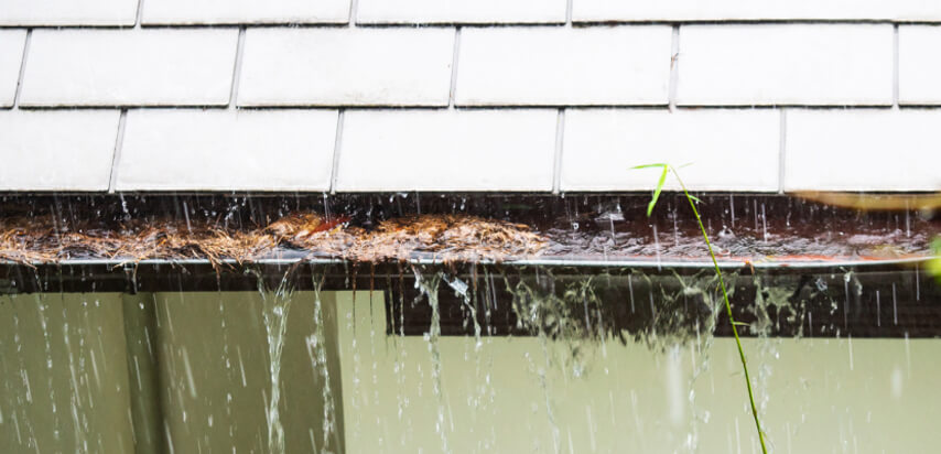 Gutter overflowing with leaves and standing water